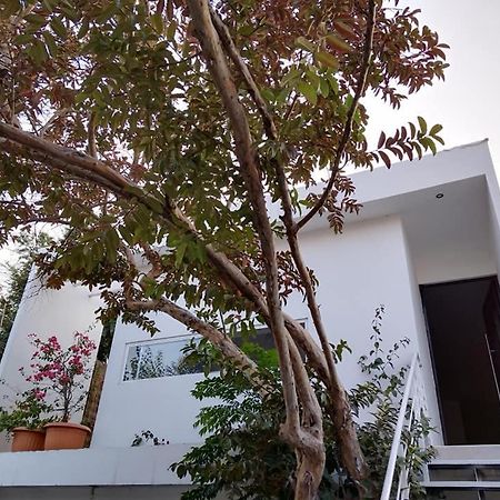 Río Verde Casa Mango 3 Amplio Departamento 빌라 외부 사진